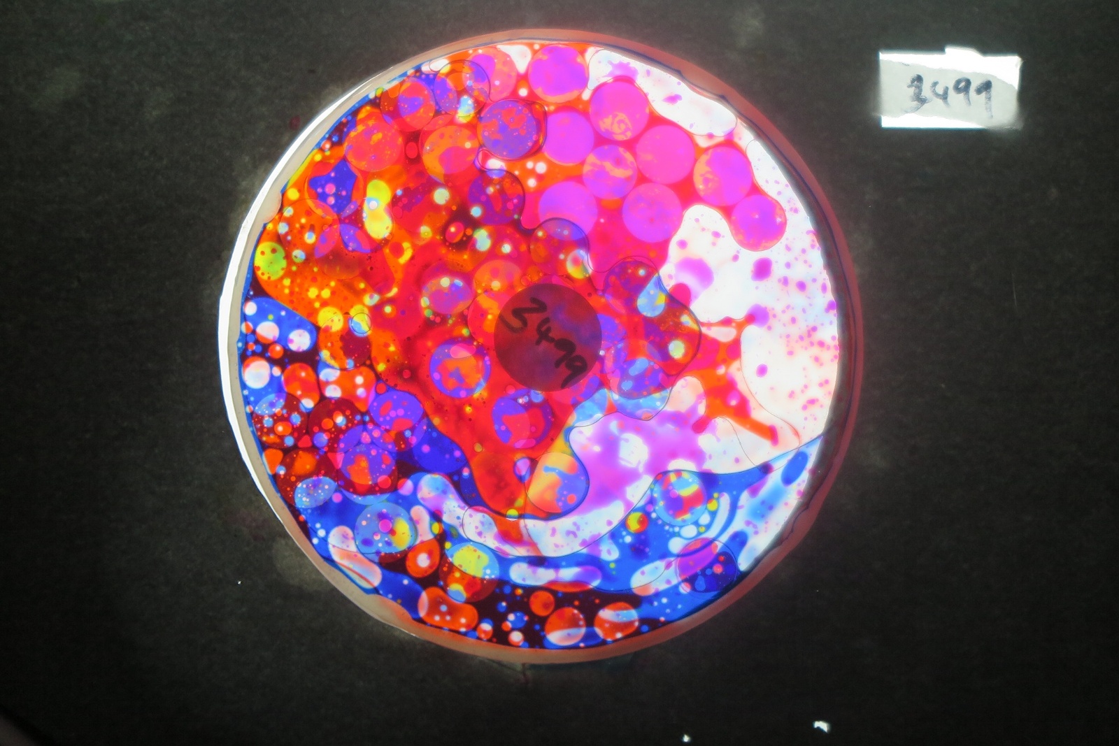 BV3499 bubble vision oil wheel